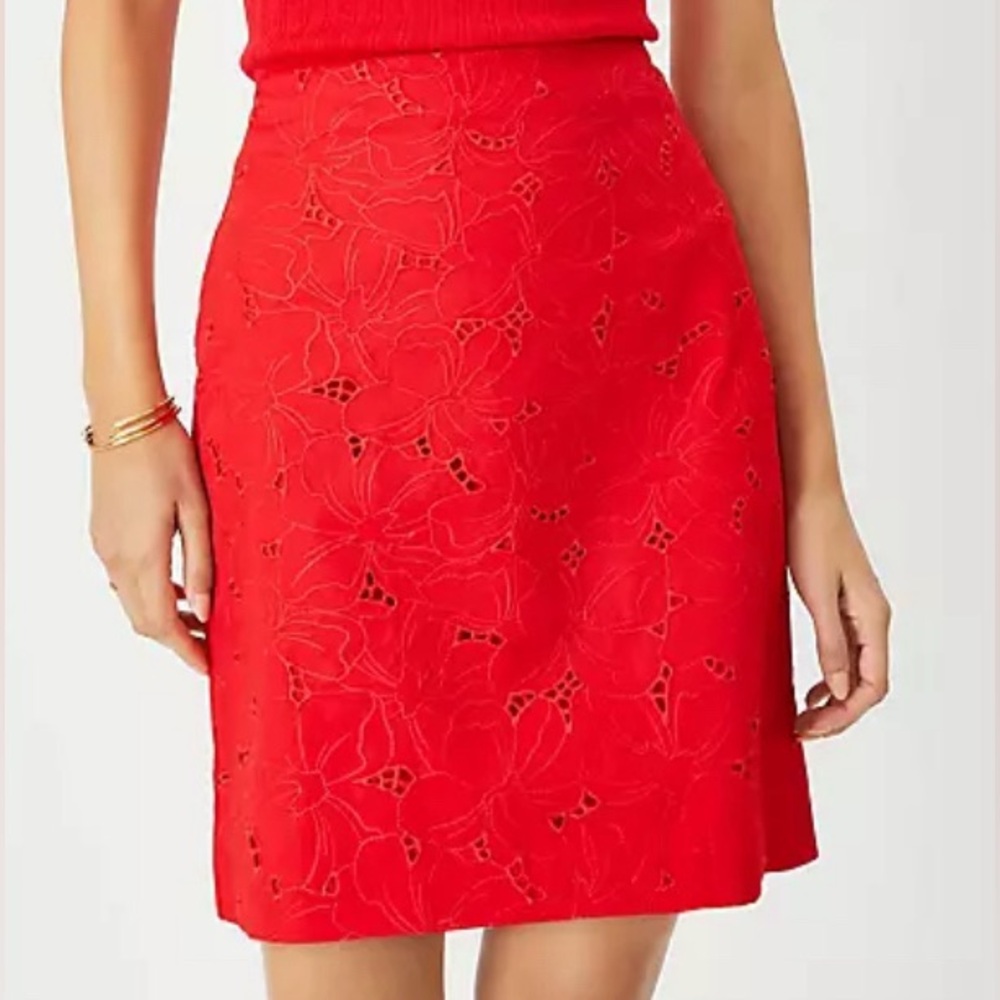 Ann Taylor Eyelet Skirt • Petite • Size 10
